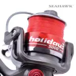seahawk-holiday-3-hld-3-seahawk-5