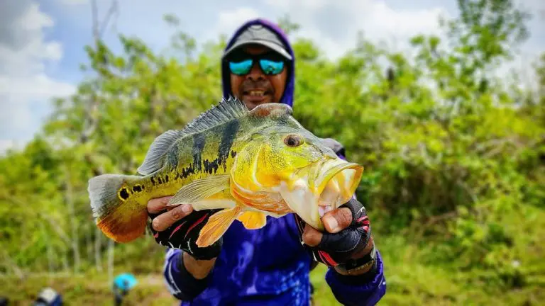 Tronoh mines fishing spot in malaysia recommended by local pro angler
