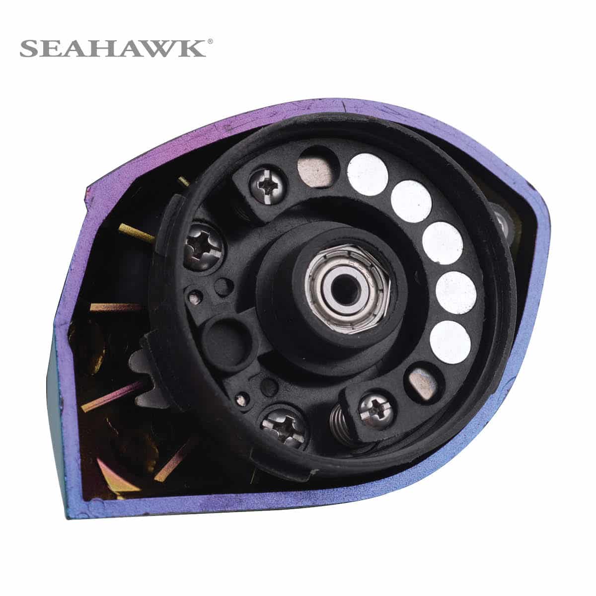 seahawk-iguana-11