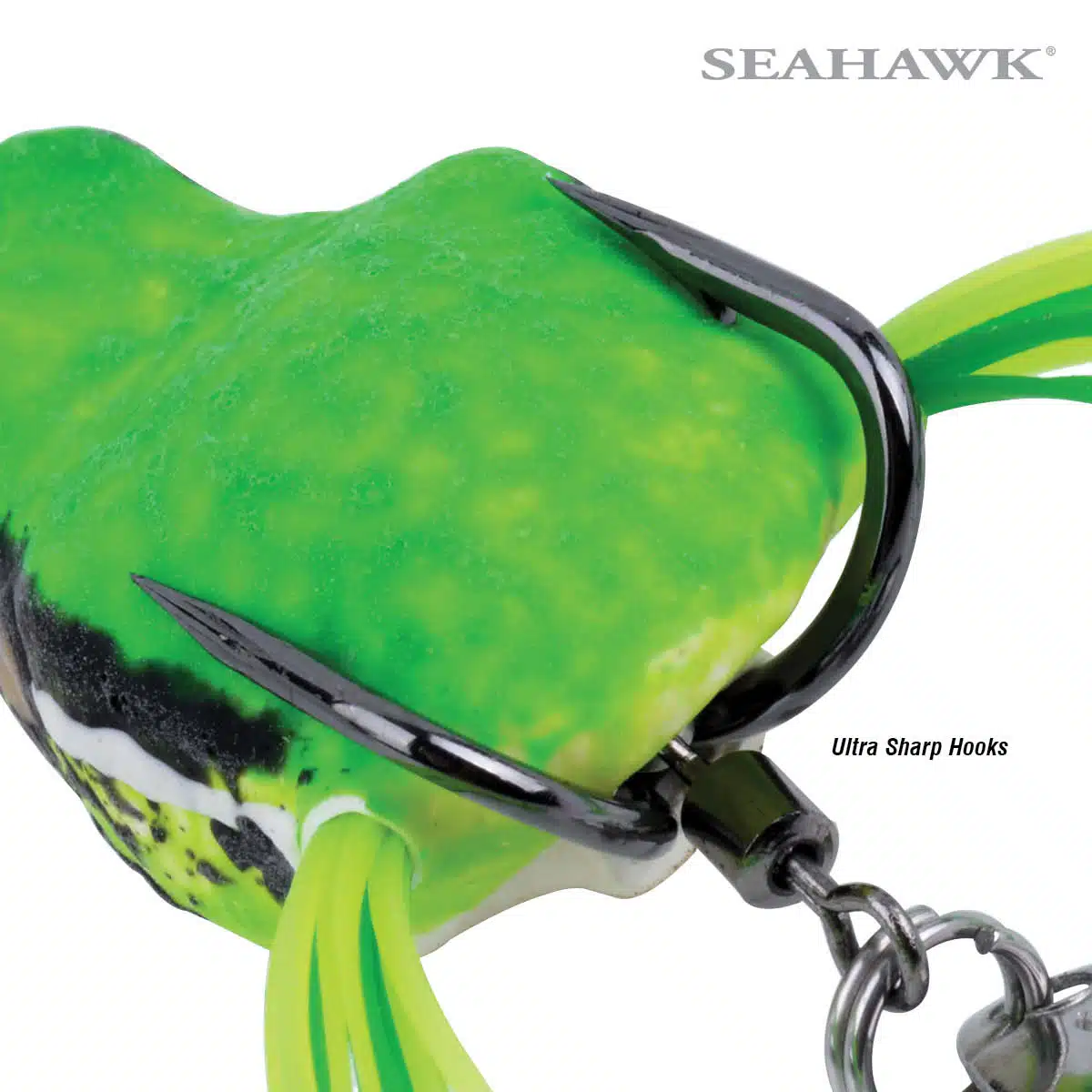Seahawk Arrow Frog 40 05