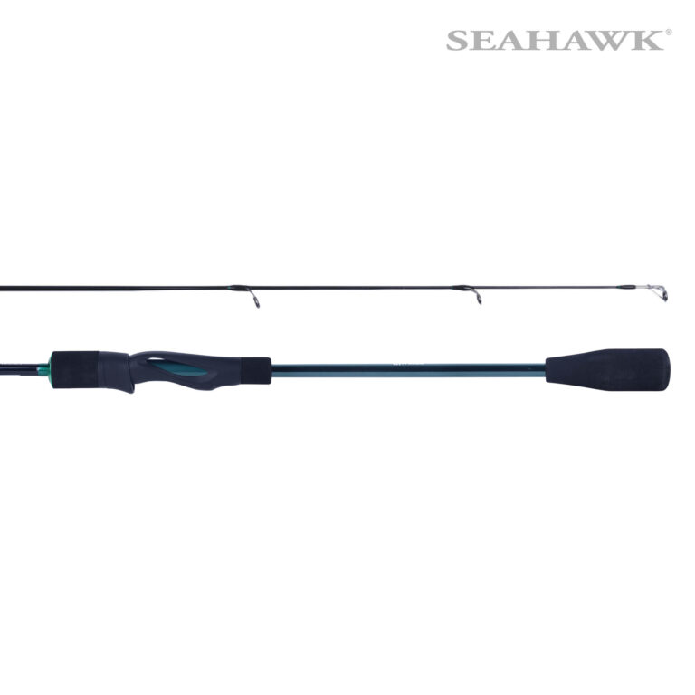 Seahawk Desert Storm 02S