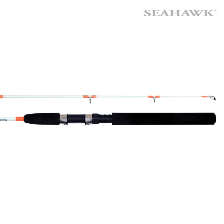 Seahawk Silverton 05